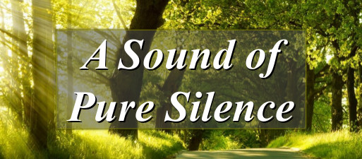 A Sound of Pure Silence Web